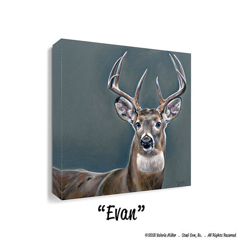 Evan 12"x12" Canvas Print